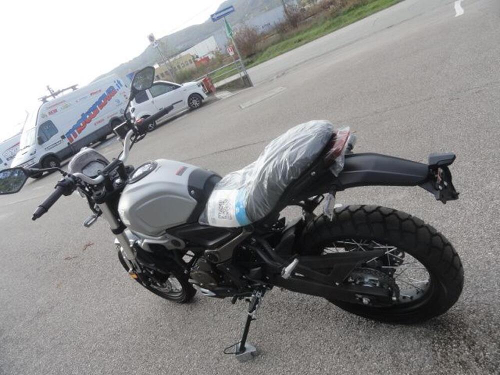 Voge Trofeo 300ACX Scrambler (2021 - 25) (6)