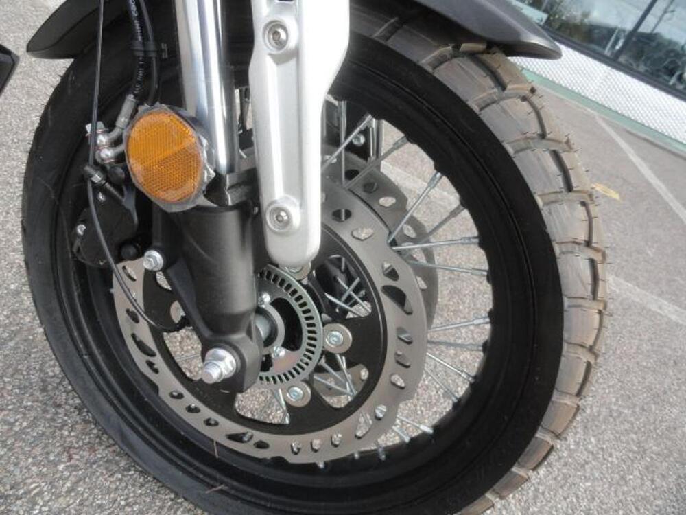 Voge Trofeo 300ACX Scrambler (2021 - 25) (11)