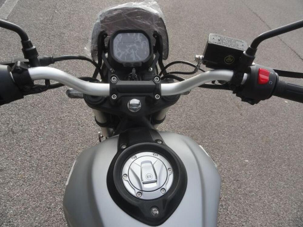 Voge Trofeo 300ACX Scrambler (2021 - 25) (12)