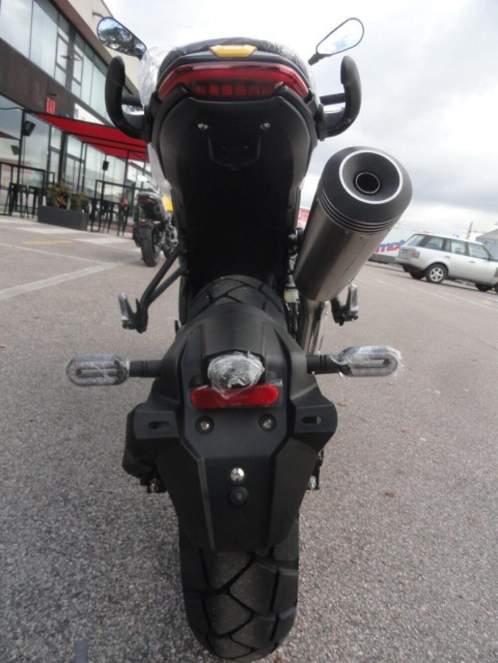 Voge Trofeo 525ACX Scrambler (2023 - 25) (8)