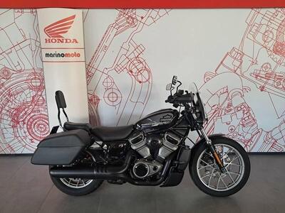 Harley-Davidson Nightster Special (2023 - 25) usata