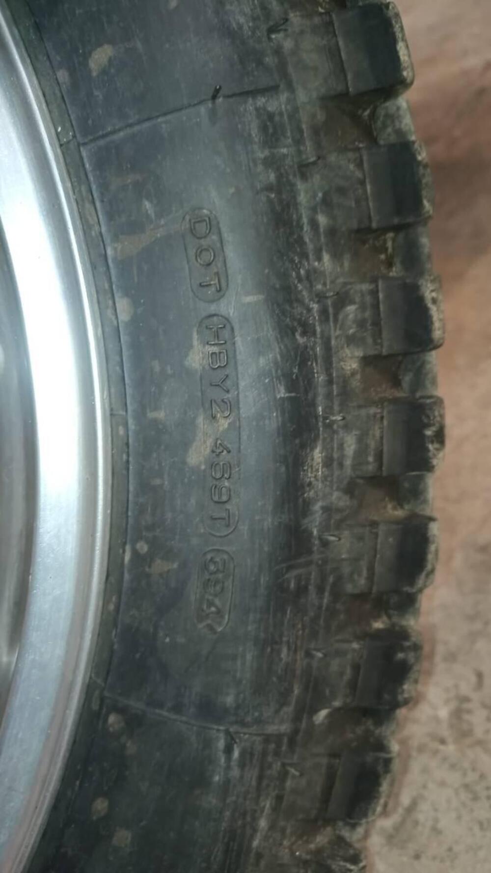 Betamotor Alp 250 (1996) (11)