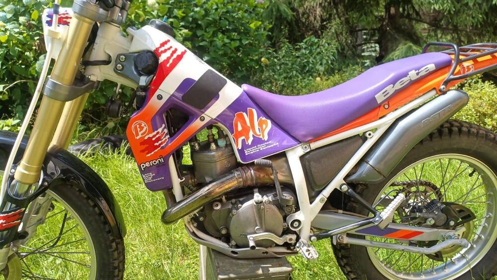 Betamotor Alp 250 (1996) (8)