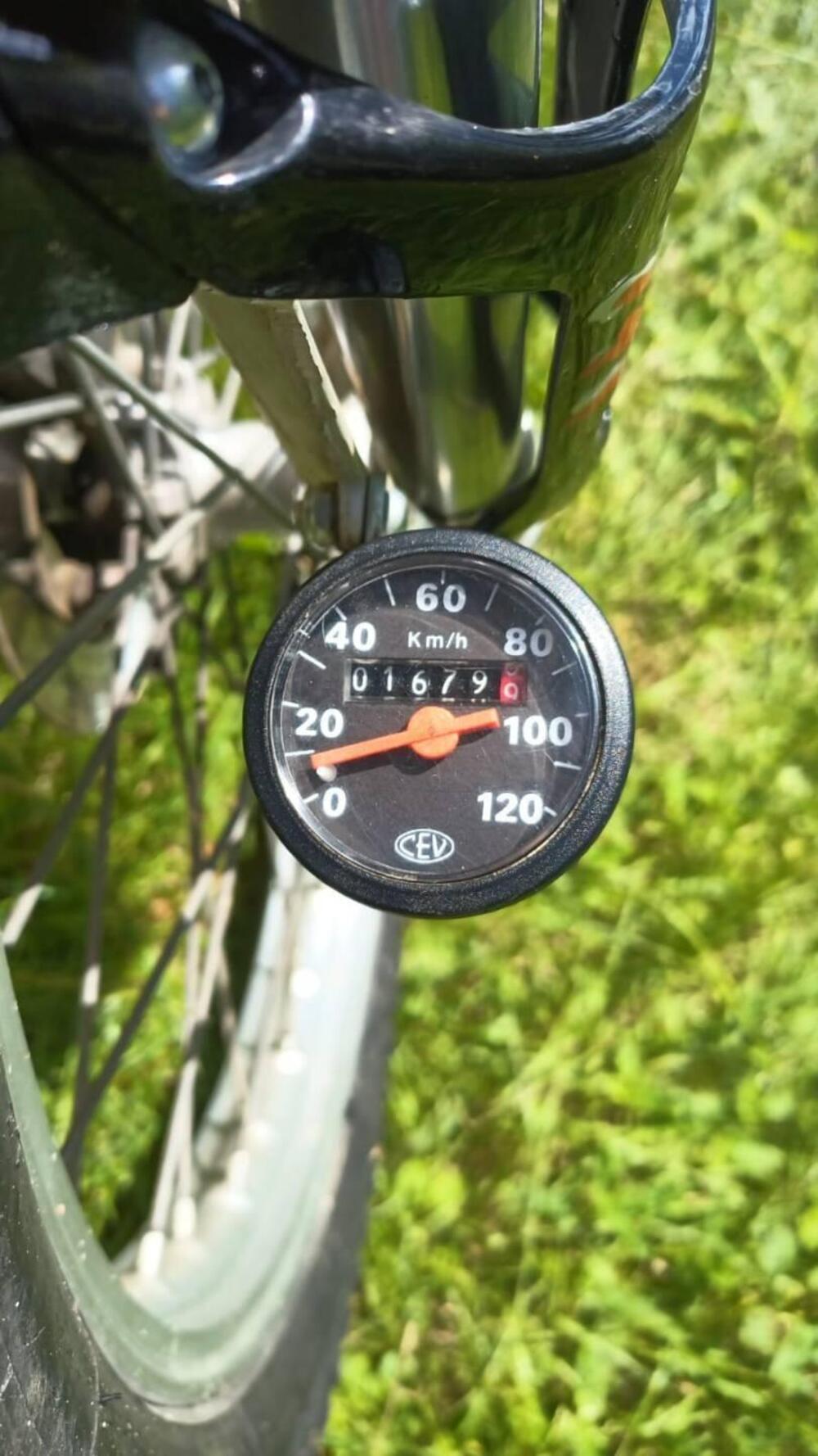 Betamotor Alp 250 (1996) (10)