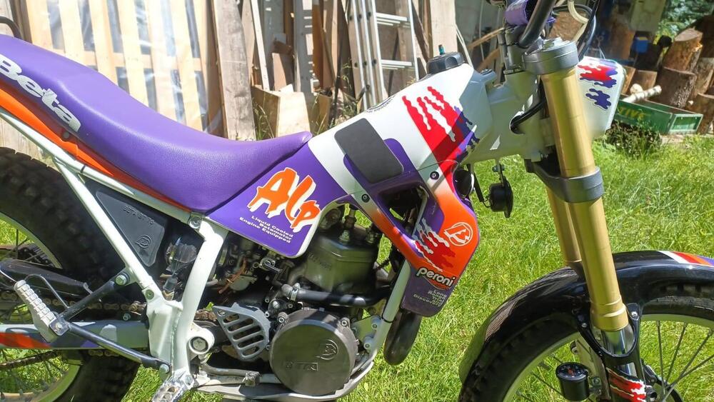 Betamotor Alp 250 (1996) (9)