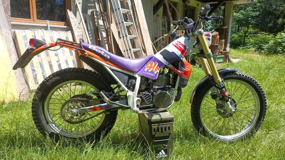 Betamotor Alp 250 (1996) (3)