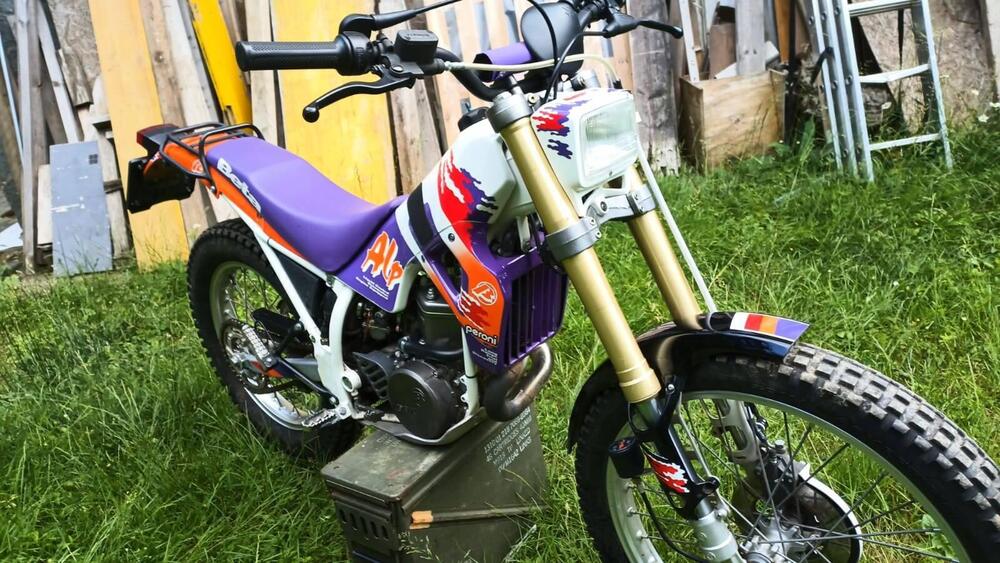 Betamotor Alp 250 (1996) (4)