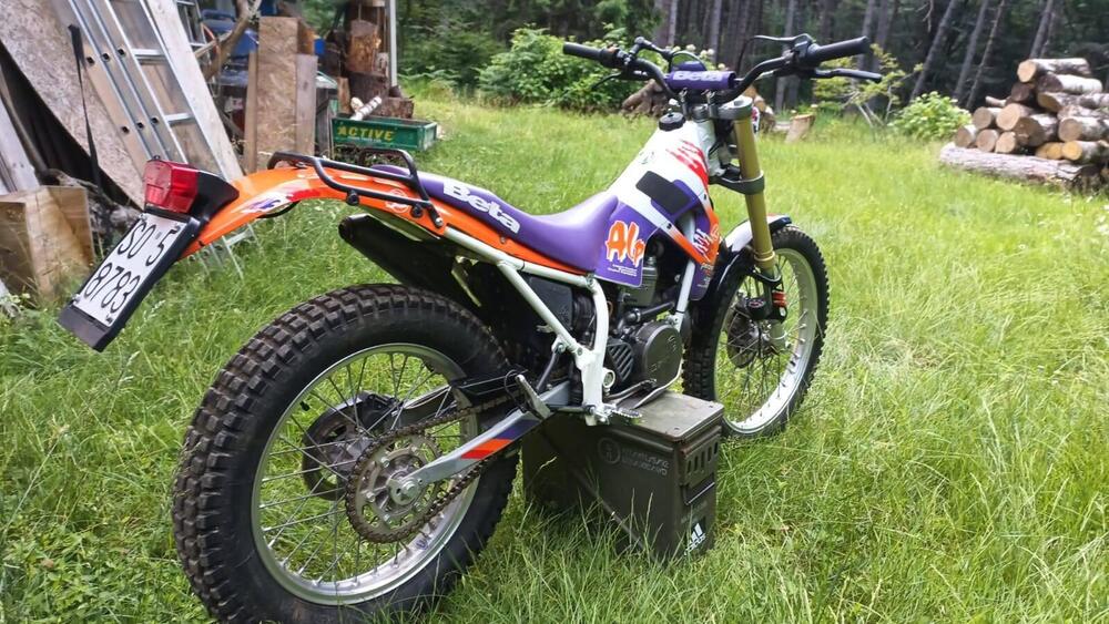 Betamotor Alp 250 (1996) (7)