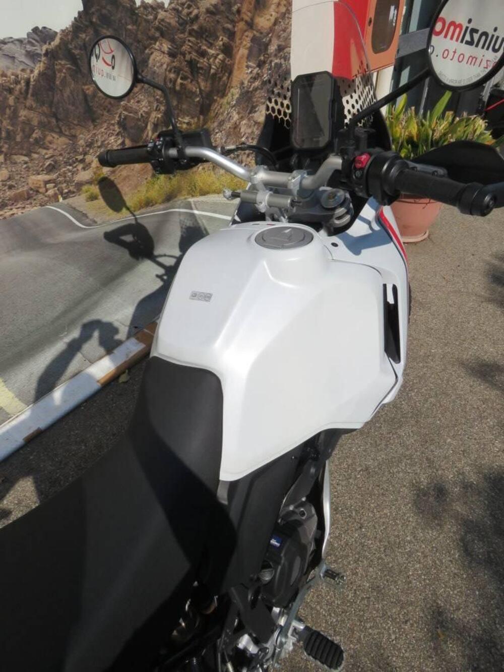 Ducati DesertX (2022 - 25) (19)