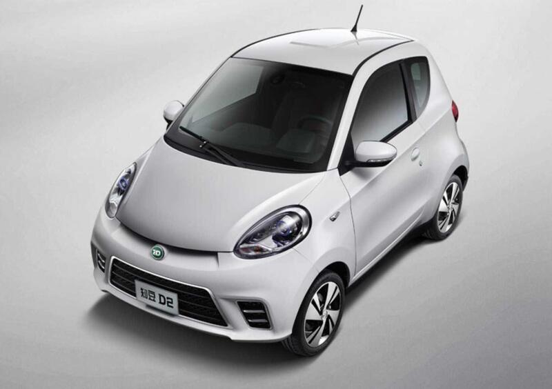 ZD ITALIA ZD D2s Owls (2021-->>)