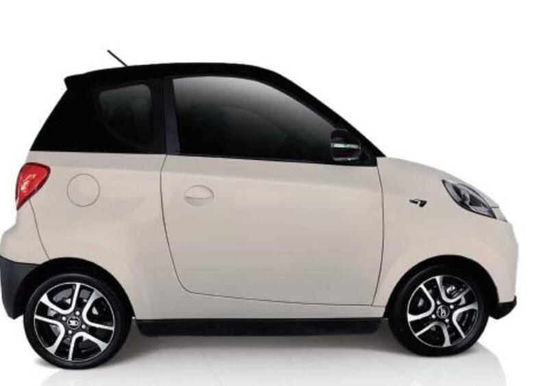 ZD ITALIA ZD D2s Owls (2021-->>) (2)