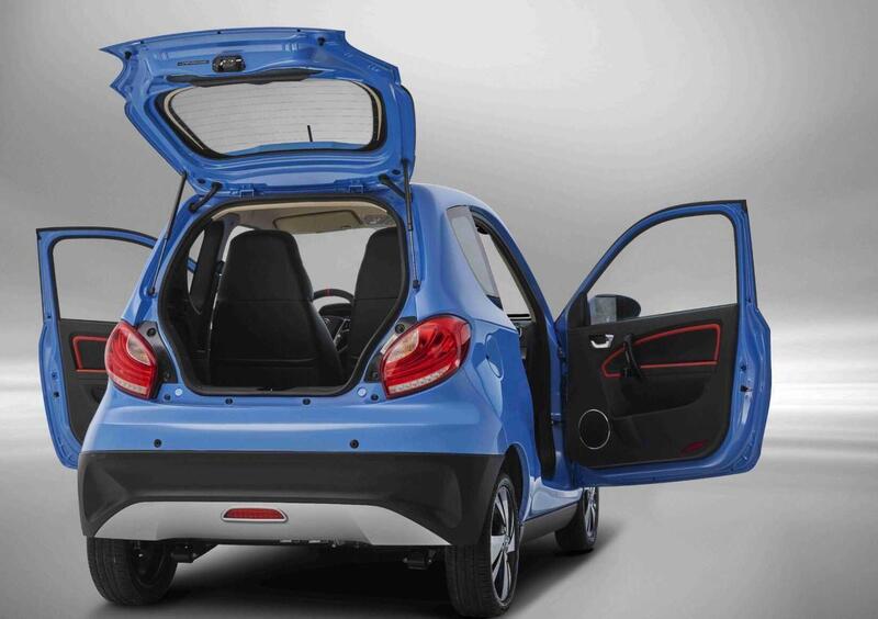 ZD ITALIA ZD D2s Owls (2021-->>) (9)