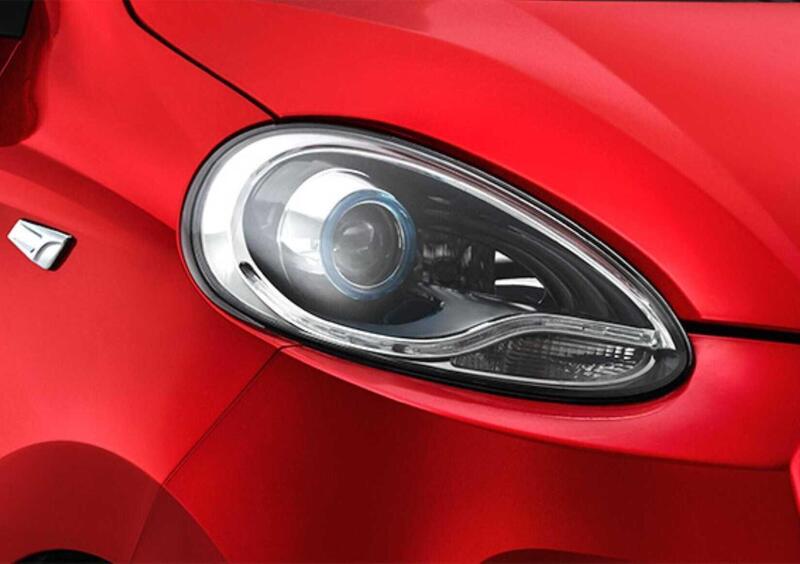 ZD ITALIA ZD D2s Owls (2021-->>) (17)