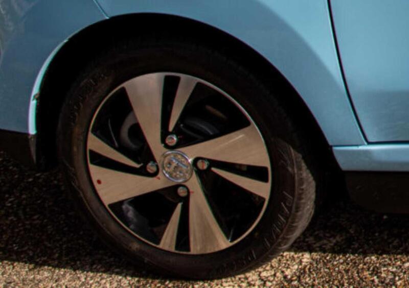 ZD ITALIA ZD D2s Owls (2021-->>) (21)