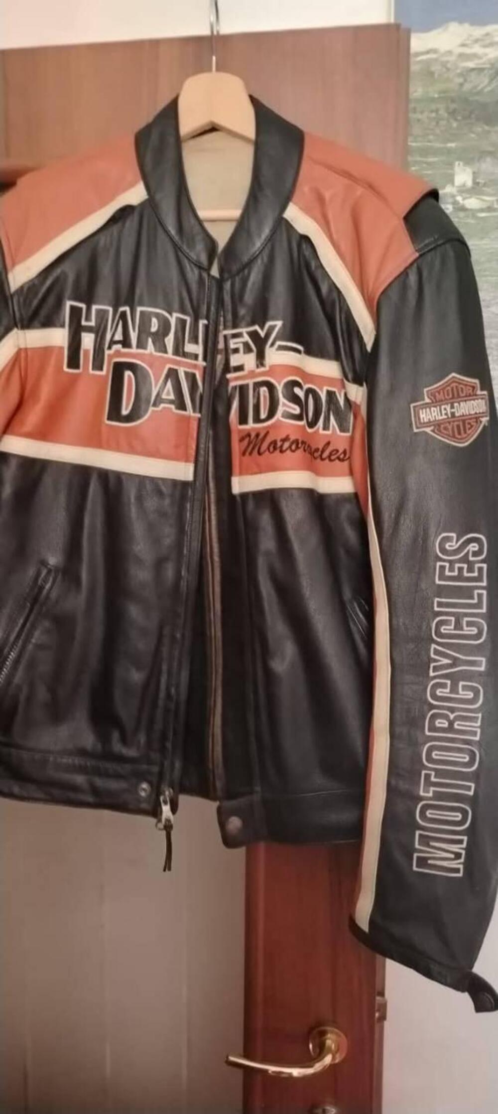Harley-Davidson 883 R (2004 - 05) - XL 883R (10)