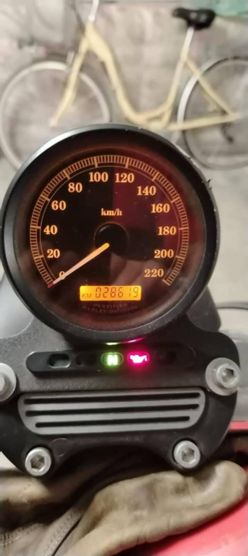 Harley-Davidson 883 R (2004 - 05) - XL 883R (6)