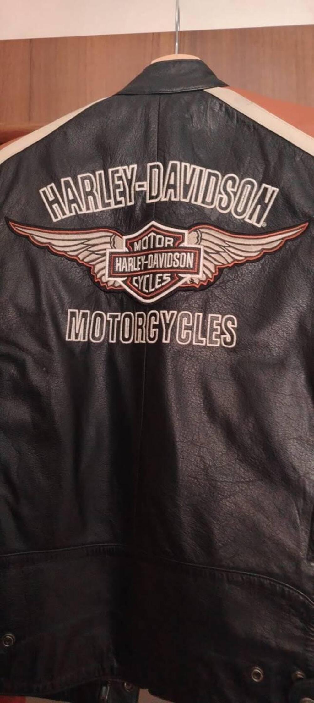 Harley-Davidson 883 R (2004 - 05) - XL 883R (9)