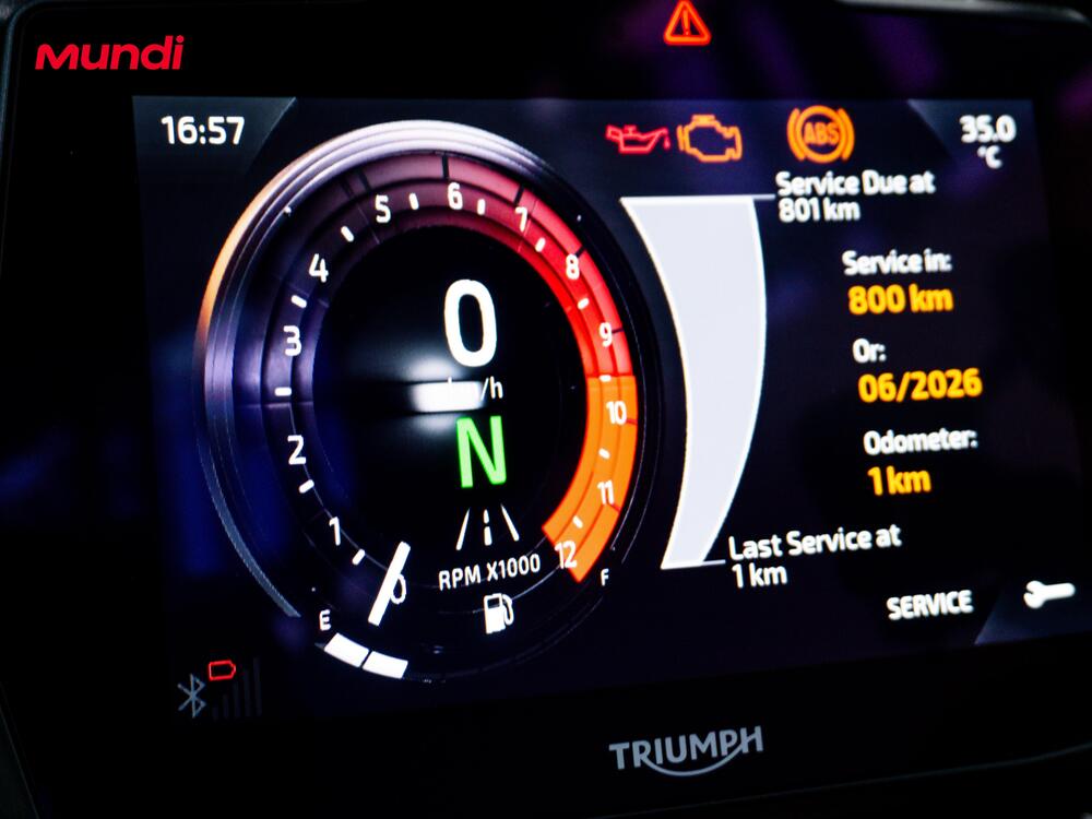 Triumph Tiger 900 Rally Pro (2024 - 25) (12)