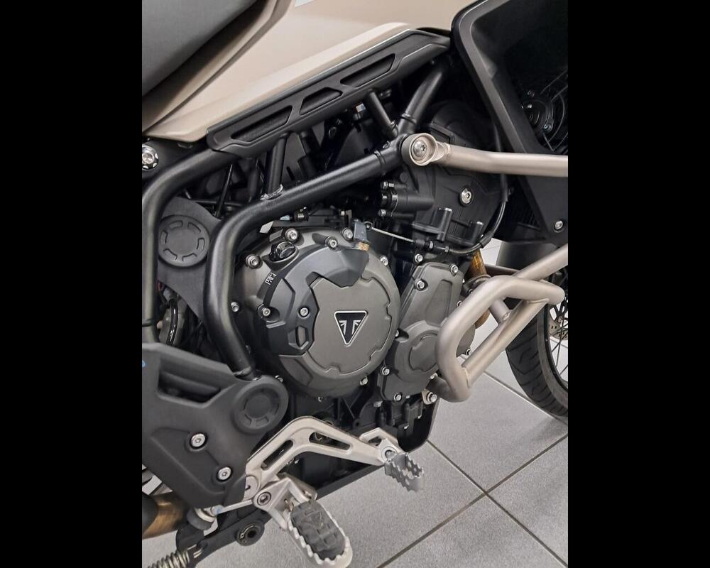 Triumph Tiger 900 Rally (2020 - 23) (7)