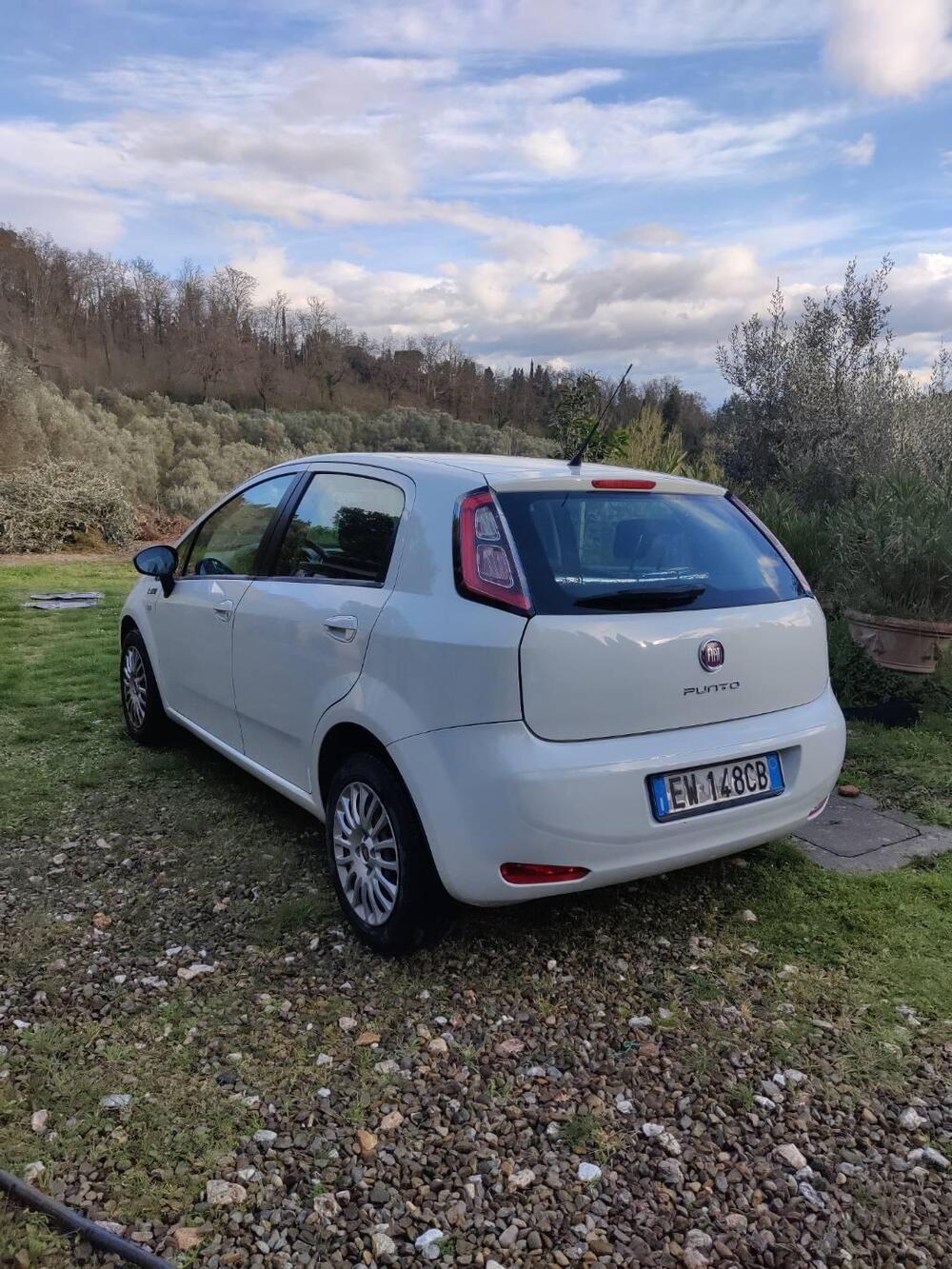Fiat Punto usata a Firenze (3)