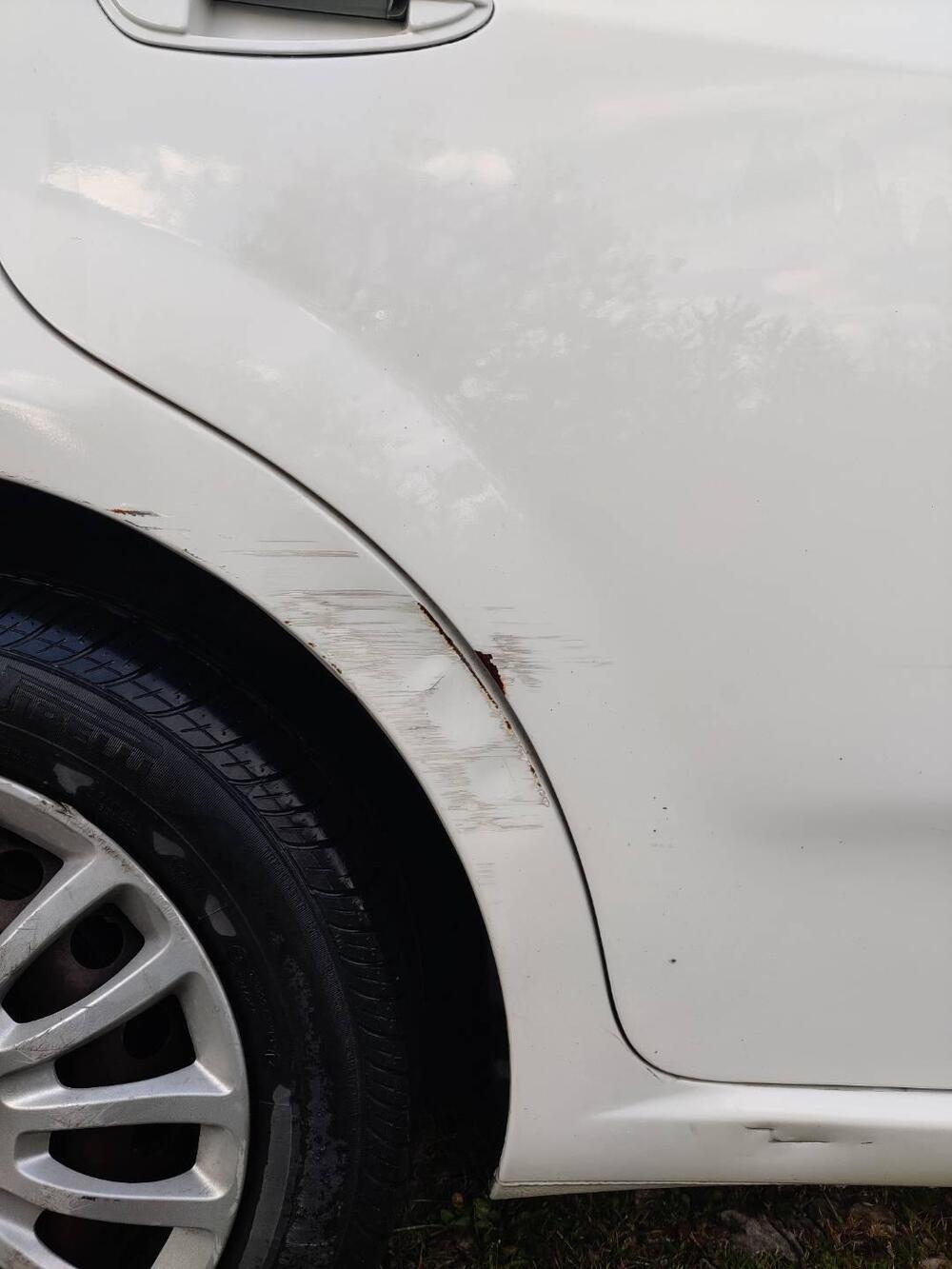 Fiat Punto usata a Firenze (6)