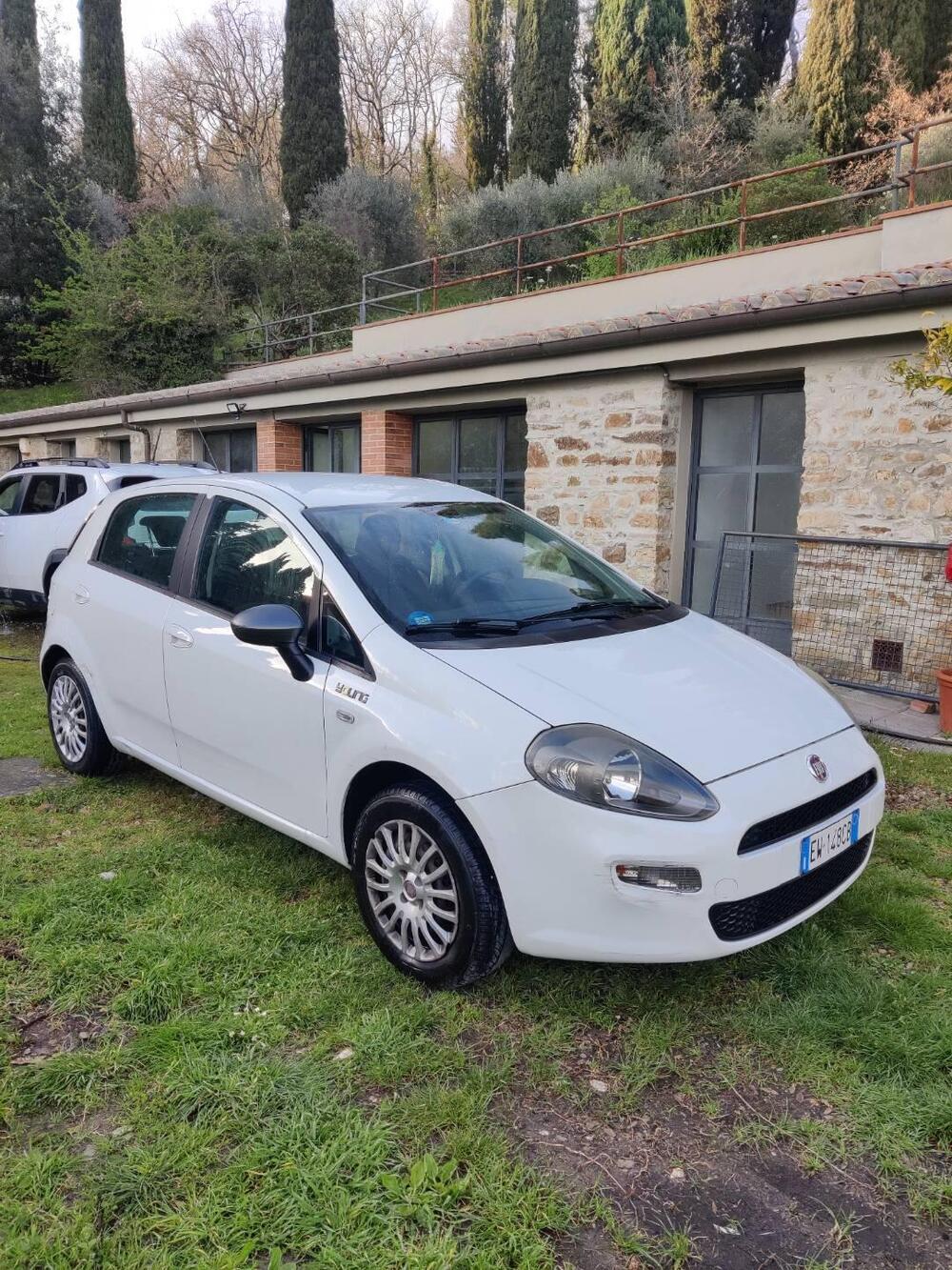Fiat Punto usata a Firenze (5)