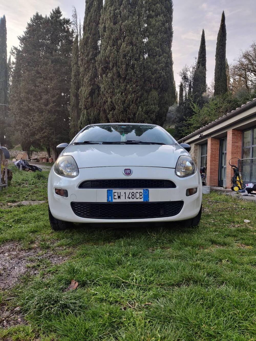 Fiat Punto usata a Firenze (7)