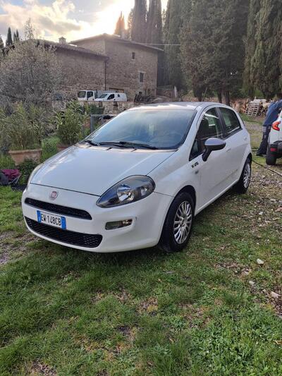 Fiat Punto 1.2 8V 5 porte Young del 2014 usata a Firenze