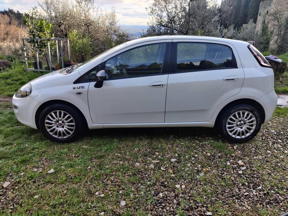 Fiat Punto usata a Firenze (2)