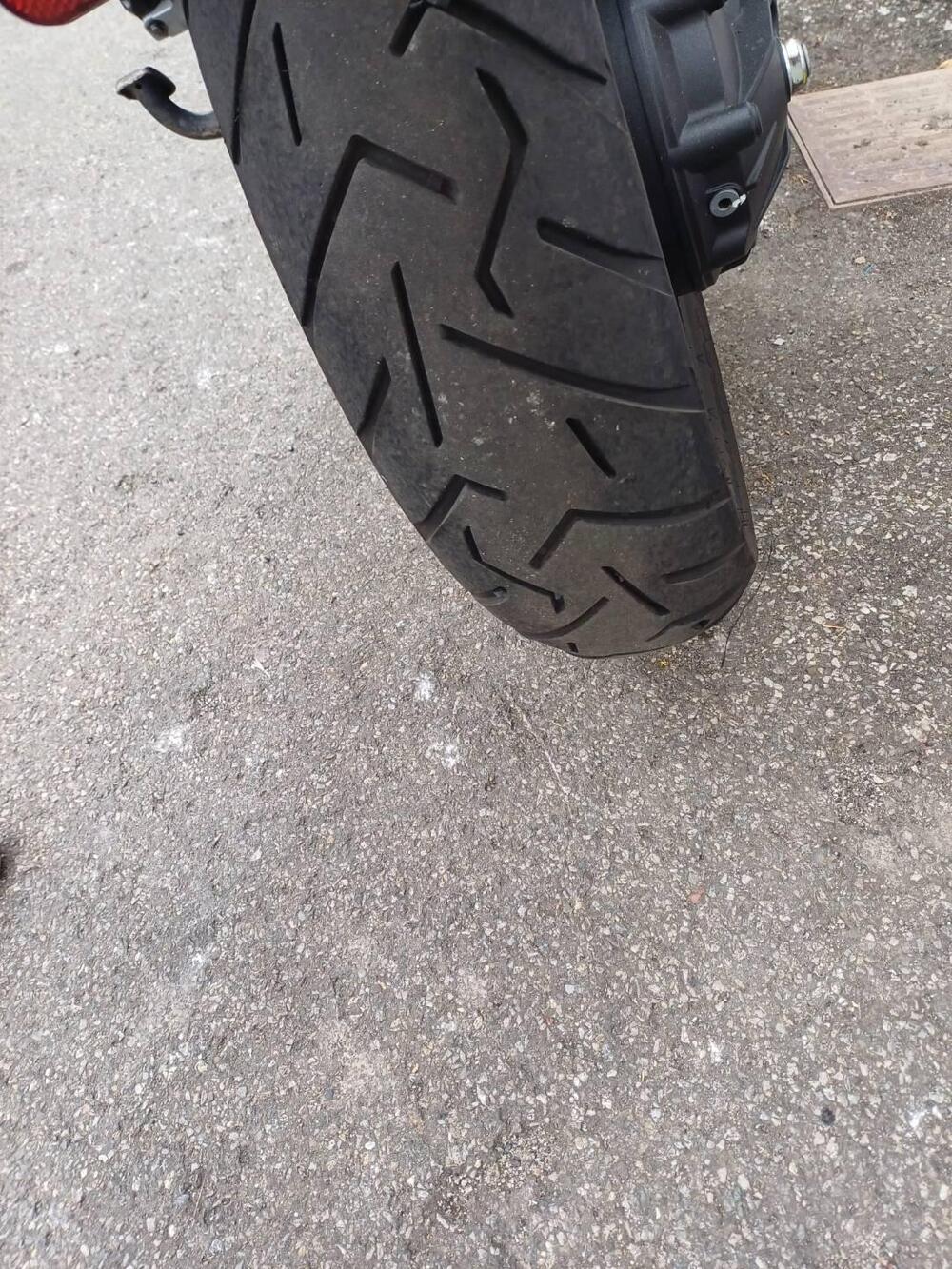 Moto Guzzi V85 TT (2019 - 20) (3)