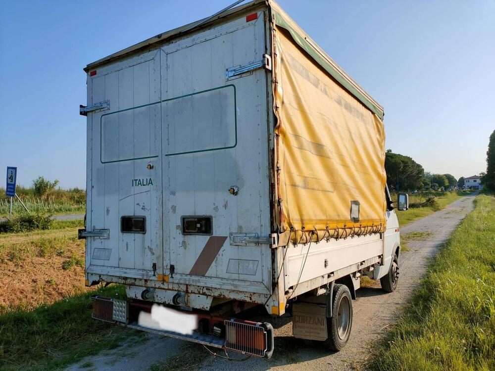 Iveco Daily Furgone usata a Ravenna (4)