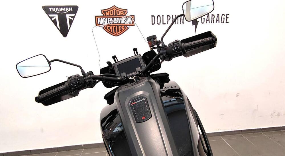 Harley-Davidson Pan America 1250 Special (2020 - 25) (9)