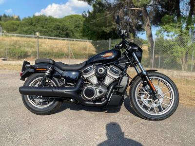 Harley-Davidson Nightster Special (2023 - 25) usata