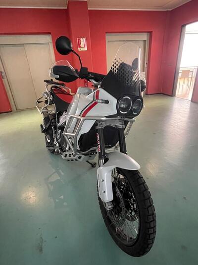 Ducati DesertX (2022 - 25) usata