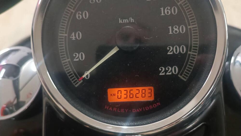 Harley-Davidson 1584 Cross Bones (2008 - 11) - FLSTSB (5)