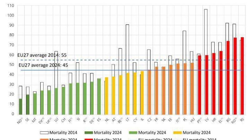 UE: nel 2024 20.017 morti sulle strade, 55 al giorno, solo il 2% in meno rispetto al 2023