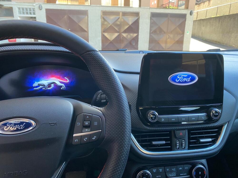 Ford Puma usata a Monza e Brianza (10)