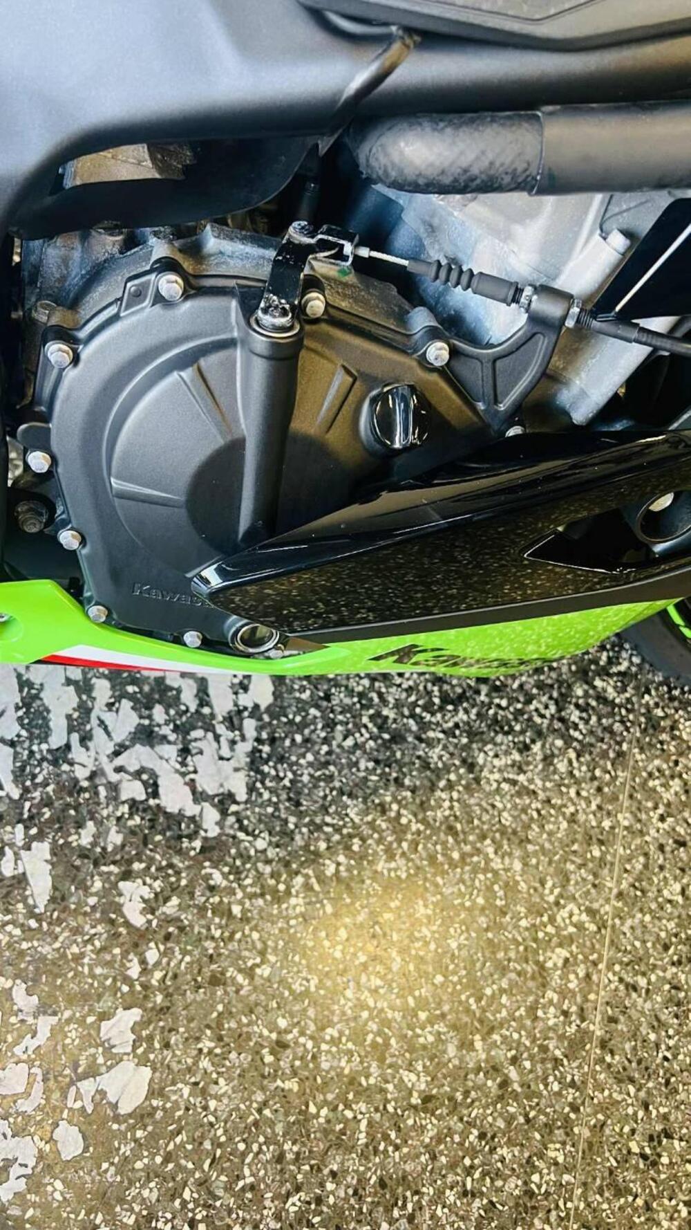 Kawasaki Ninja ZX-4RR (2024 - 26) (9)