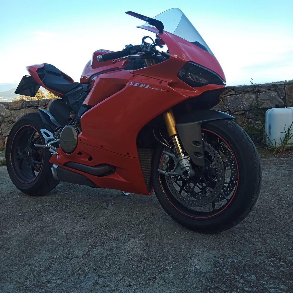 Ducati 1299 Panigale S (2015 - 18) (2)