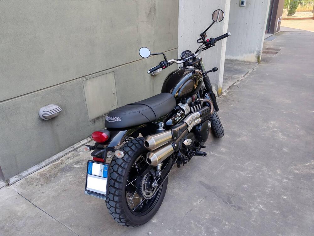 Triumph Street Scrambler 900 (2017 - 18) (8)