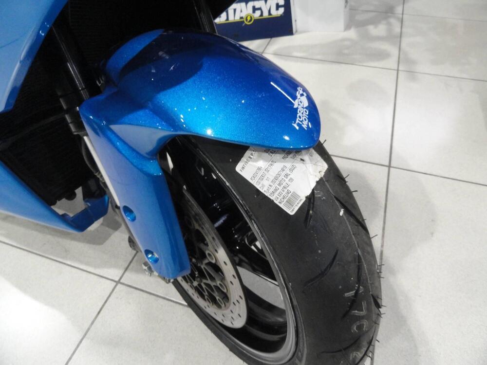 Suzuki GSX-R1000 (2009 - 11) (4)