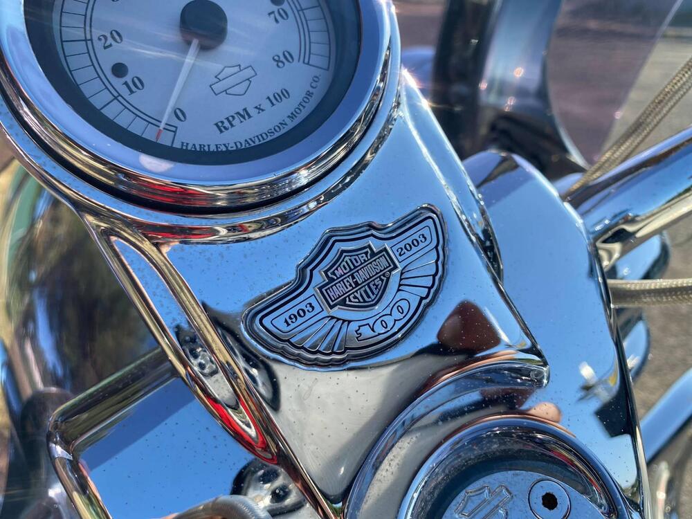 Harley-Davidson 1450 Road King Classic (2003 - 05) - FLHRCI (8)