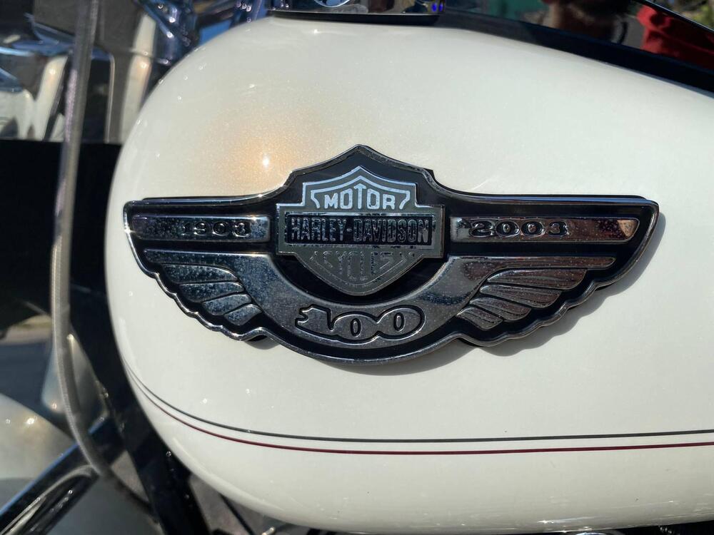 Harley-Davidson 1450 Road King Classic (2003 - 05) - FLHRCI (10)