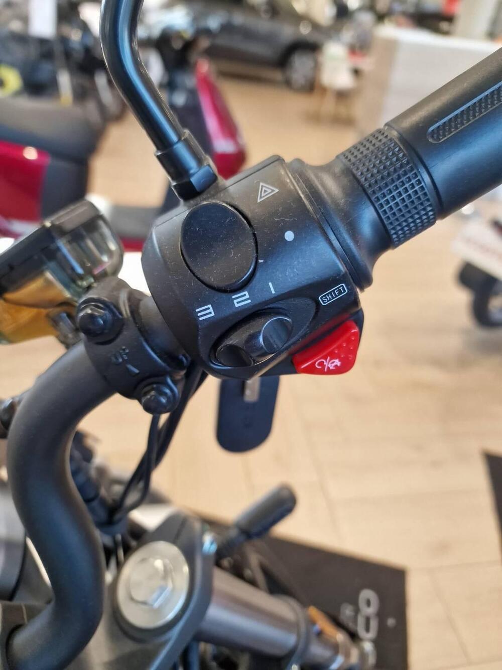 VMoto TC Wanderer (2024 - 25) (8)