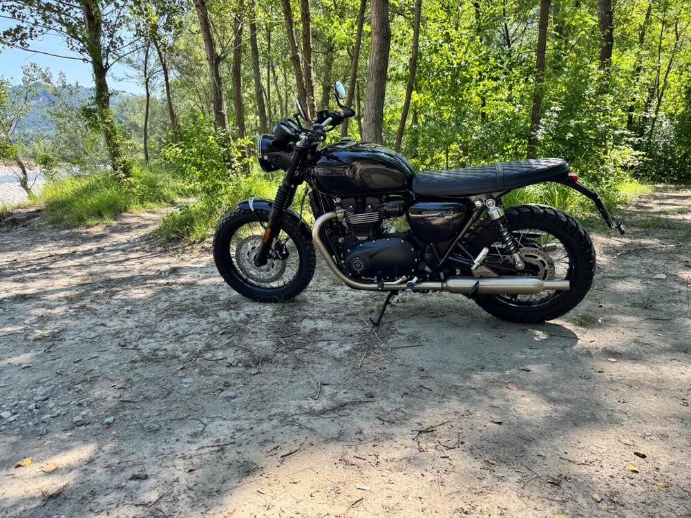 Triumph Bonneville T100 (2021 - 25)