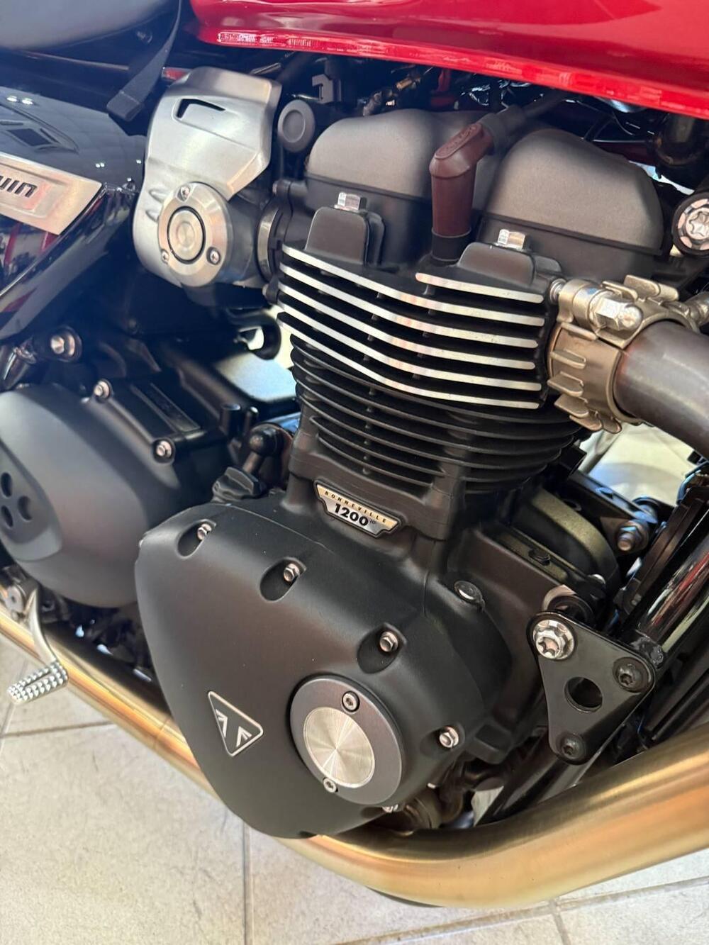 Triumph Speed Twin 1200 (2021 - 24) (7)