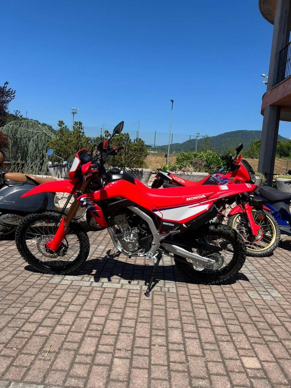 Honda CRF 300 L (2025) (2)