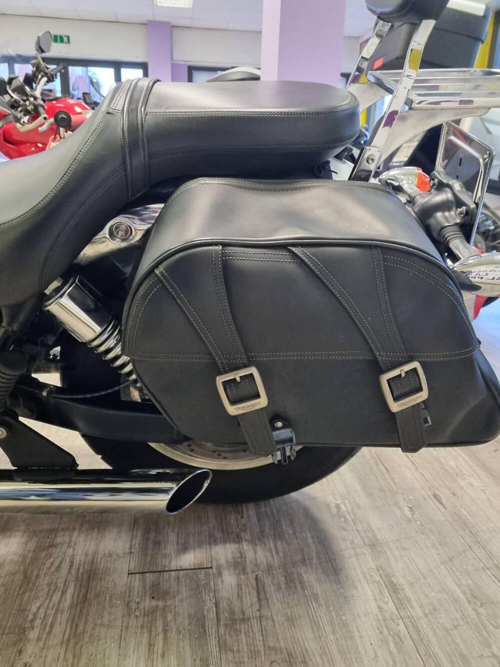 Triumph America (2011 - 16) (16)