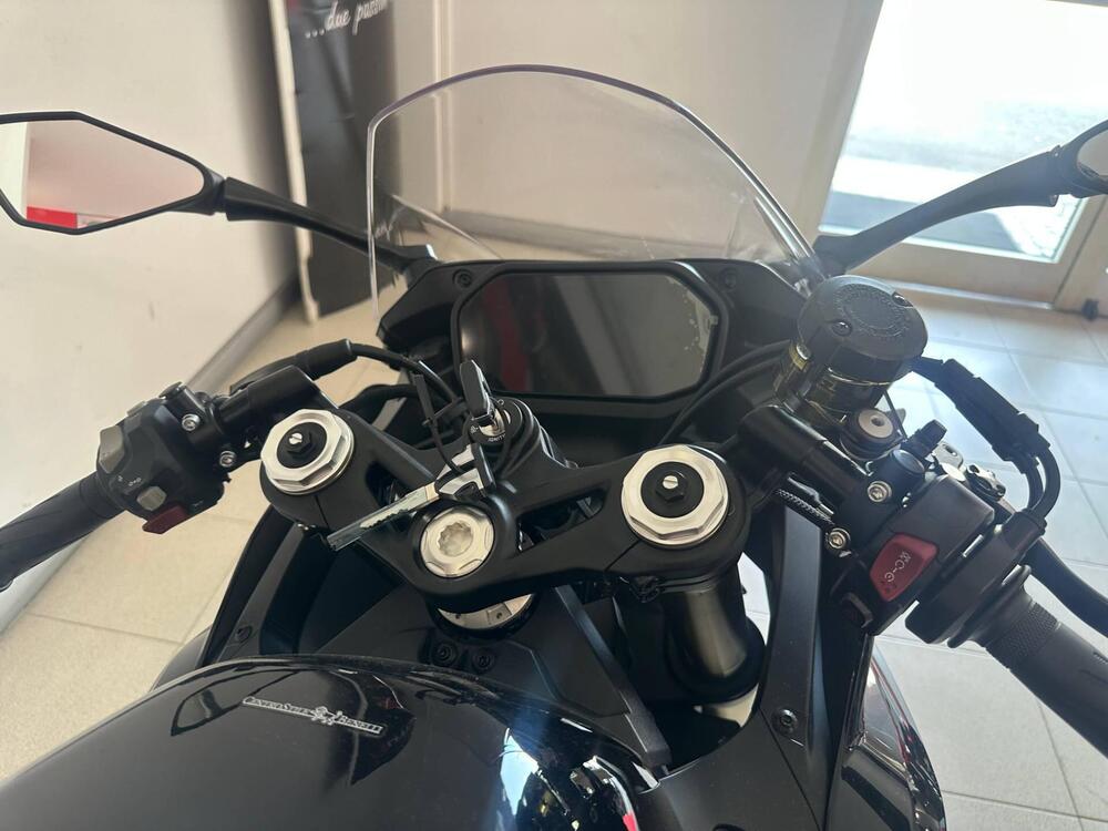 Benelli Tornado 550 (2025) (5)