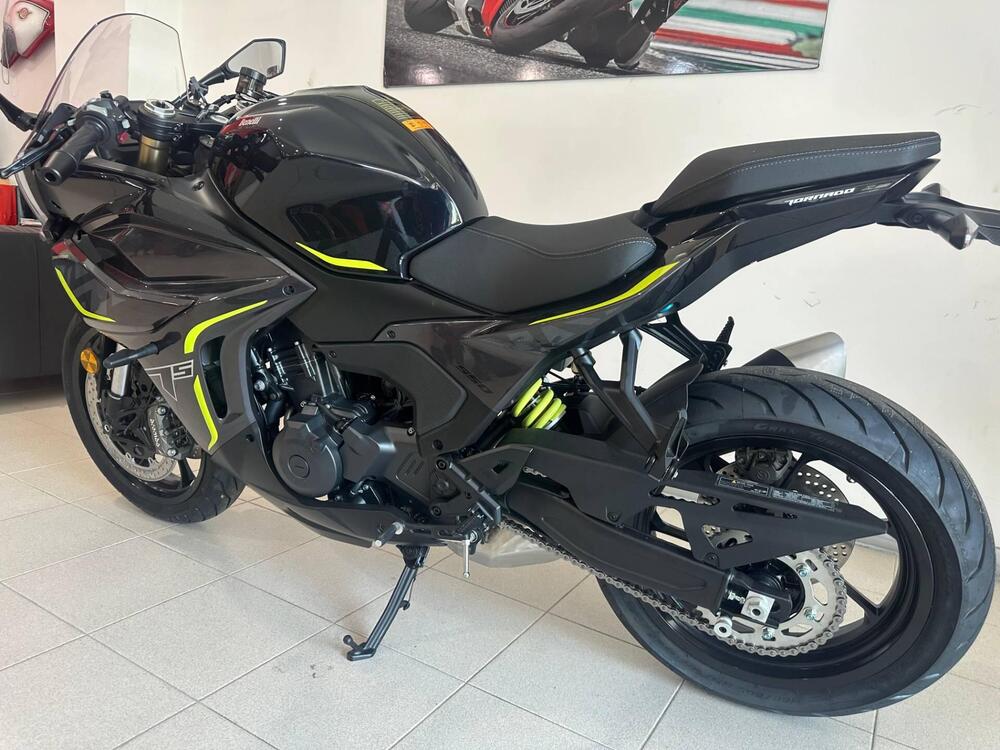 Benelli Tornado 550 (2025) (3)